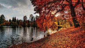 Fotografía con colores de otoño